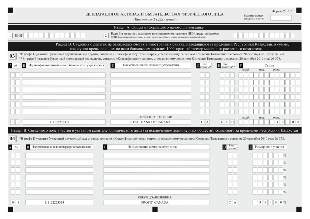 Декларация об активах и обязательствах физического лица (форма 250.00)